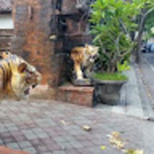 Meet your Posher, Brent